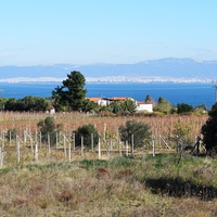 Other in Greece, Thessaloniki, 290 sq.m.
