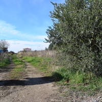 Other in Greece, Thessaloniki, 290 sq.m.