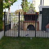 Other in Greece, Thessaloniki, 180 sq.m.