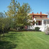 Other in Greece, Thessaloniki, 350 sq.m.