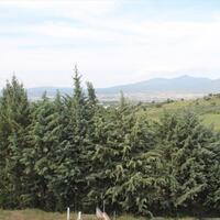 Другое в Греции, Салоники, 250 кв.м.