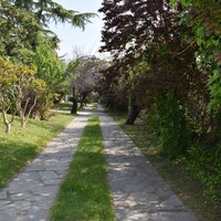Other in Greece, Thessaloniki, 350 sq.m.