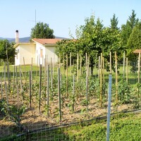 Other in Greece, Thessaloniki, 90 sq.m.