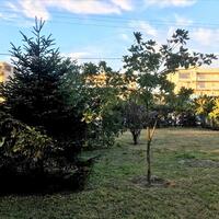 Другое в Греции, Салоники, 280 кв.м.