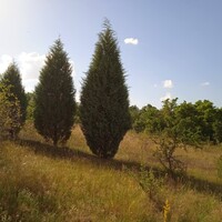 Другое в Греции, Салоники, 300 кв.м.