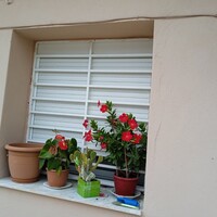 Other in Greece, Thessaloniki, 96 sq.m.