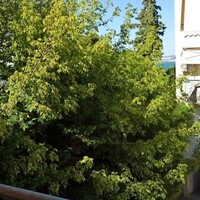 Другое в Греции, Салоники, 240 кв.м.