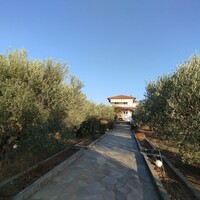 Other in Greece, Thessaloniki, 300 sq.m.