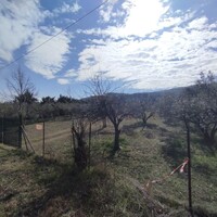 Island in Greece, Thessaloniki, 4400 sq.m.