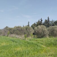 Island in Greece, Thessaloniki, 5881 sq.m.