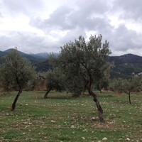 Island in Greece, Peloponnese, 4500 sq.m.