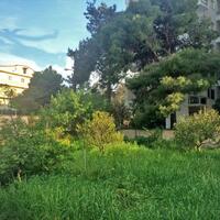 Island in Greece, Peloponnese, Loutraki, 260 sq.m.