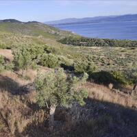 Island in Greece, Peloponnese, Loutraki, 17889 sq.m.