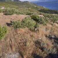 Island in Greece, Peloponnese, Loutraki, 17889 sq.m.