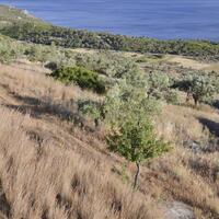 Island in Greece, Peloponnese, Loutraki, 17889 sq.m.