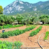 Island in Greece, Peloponnese, 3941 sq.m.
