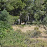 Island in Greece, Peloponnese, 16200 sq.m.