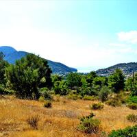 Island in Greece, Peloponnese, 16200 sq.m.
