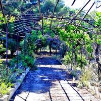 Island in Greece, Peloponnese, 16200 sq.m.