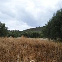 Island in Greece, Peloponnese, 5693 sq.m.