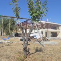 Other in Greece, Peloponnese, 270 sq.m.