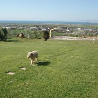 Townhouse in Greece, Thessaloniki, 156 sq.m.