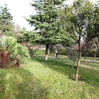 Villa in Greece, Thessaloniki, 480 sq.m.