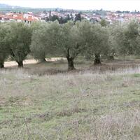 Остров в Греции, Салоники, 1400 кв.м.