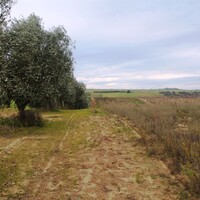 Остров в Греции, Салоники, 7350 кв.м.