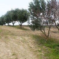 Остров в Греции, Салоники, 7350 кв.м.