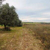Остров в Греции, Салоники, 7350 кв.м.