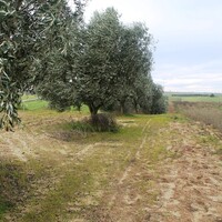 Остров в Греции, Салоники, 7350 кв.м.