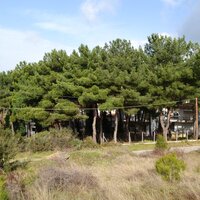Остров в Греции, Салоники, 600 кв.м.