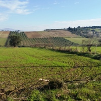Остров в Греции, Салоники, 8194 кв.м.