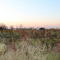 Island in Greece, Thessaloniki, 6600 sq.m.