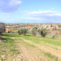 Island in Greece, Thessaloniki, 2650 sq.m.