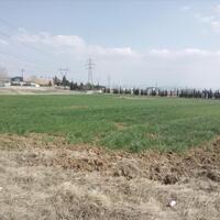 Остров в Греции, Салоники, 15000 кв.м.