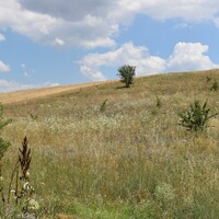 Остров в Греции, Салоники, 2400 кв.м.