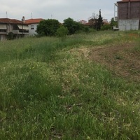 Island in Greece, Thessaloniki, 5000 sq.m.