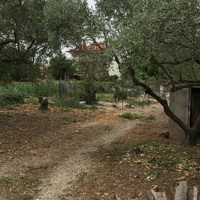 Island in Greece, Thessaloniki, 5000 sq.m.