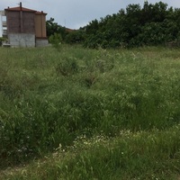 Island in Greece, Thessaloniki, 5000 sq.m.