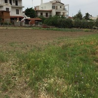 Island in Greece, Thessaloniki, 5000 sq.m.