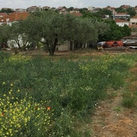 Island in Greece, Thessaloniki, 5000 sq.m.