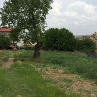 Island in Greece, Thessaloniki, 5000 sq.m.