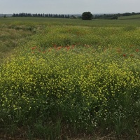 Остров в Греции, Салоники, 6445 кв.м.