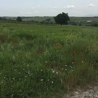 Остров в Греции, Салоники, 10600 кв.м.
