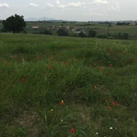 Остров в Греции, Салоники, 10600 кв.м.