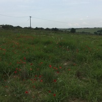 Остров в Греции, Салоники, 10600 кв.м.
