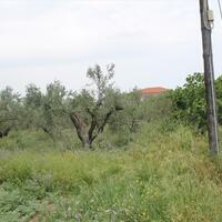 Island in Greece, Thessaloniki, 4200 sq.m.