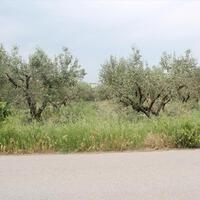 Island in Greece, Thessaloniki, 4200 sq.m.
